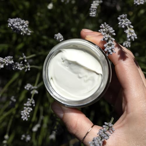 evanhealy Blue Chamomile Moisturizer | Calming Facial Cream with Carrot Seed & Argan Oil | Creamy Moisturizer For Sensitive & Reactive Skin