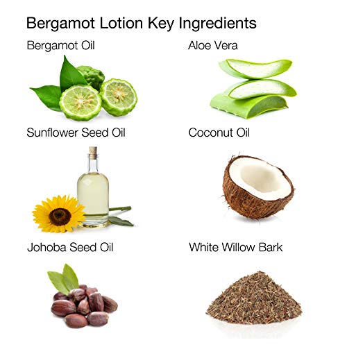 ALOA Skincare Bergamot Lotion Antioxidant Face Moisturizer