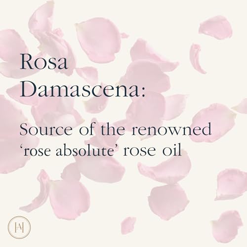 HMA | 100 Percent Pure Rose Water Facial Mist ? Steam-Distilled Rosa Damascena Hydrosol | Alcohol-Free Toner & Hydrating Face Spray | Natural Skin Refresher for All Skin Types | 3.38 FL Oz