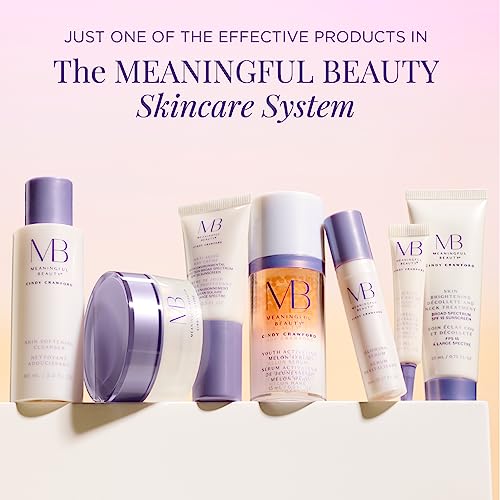 Meaningful Beauty ? Environmental Protecting Moisturizer Broad Spectrum SPF 30 ? Anti-Pollution & Visible Blue Light (HEV) Fighting Day Cream
