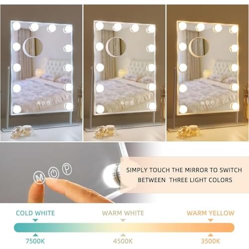 FENCHILIN Lighted Makeup Mirror Hollywood Mirror Vanity Makeup Mirror with Light Smart Touch Control 3Colors Dimmable Light Detachable 10X Magnification 360¡ÆRotation