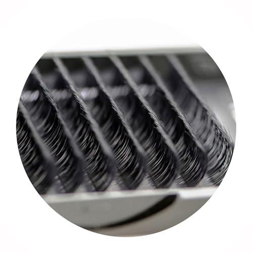 Eyelash Extensions 0.25mm Thickness D Curl Natural-Looking Individual Volume Eyelashes For Lash Extensions (10MM)