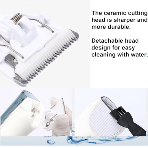 Vacuum Beard Trimmer for Man,Auto Suction Whisker Mustache Style Clipper,Electric Facial Stubble Haircut Kit,Face Grooming Shaver,Corded Use 12V Powerful Dual Motor,Removable Hair Chamber