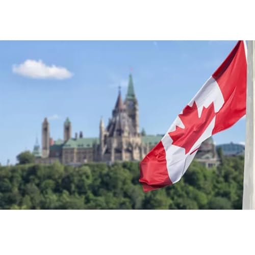 CARGEN Canada Flag Temporary Tattoos - 5 Sheets 8 Patterns Tattoos for Canada Day Canadian Football Match World Cup Ball Game Great on Arm Face Shoulder for Kids Adults Party Festival