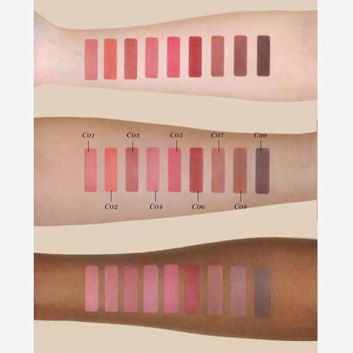Flower Knows Little Angel Matte Lipstick,Super Soft & Ultra Silky Lip Mud Stick,Long Lasting & Moisturizing Vegan Lip Makeup for Girls&Women,Velvety Brown Finish(C09 Dark Angel)
