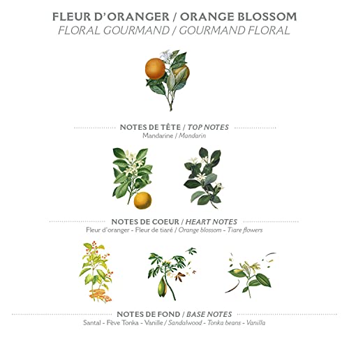 Panier des Sens - Orange Blossom Bar Soap - Moisturizing Scented Soap Bar - Natural Soap with Olive Oil - 97% Natural Ingredients Made in France - Vegan Friendly - Body & Hand Soap Bars 2x5.3 oz