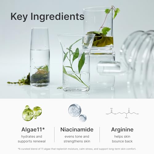 Deep Moisture Serum ? Korean Hydrating Face Serum with Algae11, Niacinamide & Arginine for Dry Skin, Barrier Repair & Glass Skin Glow, Fragrance-Free K-Beauty Skincare, 50ml / 1.69 fl.oz.