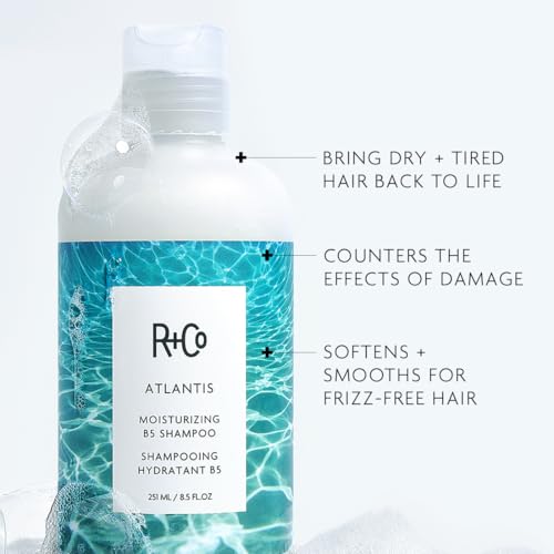 R+Co Atlantis Moisturizing B5 Shampoo | Shine + Tames Frizz + Intense Hydration | Vegan + Cruelty-Free |Vegan + Cruelty-Free