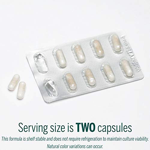 Genestra Brands - HMF Travel - Shelf Stable Probiotics to Support Gastrointestinal Health When Travelling - 30 Capsules