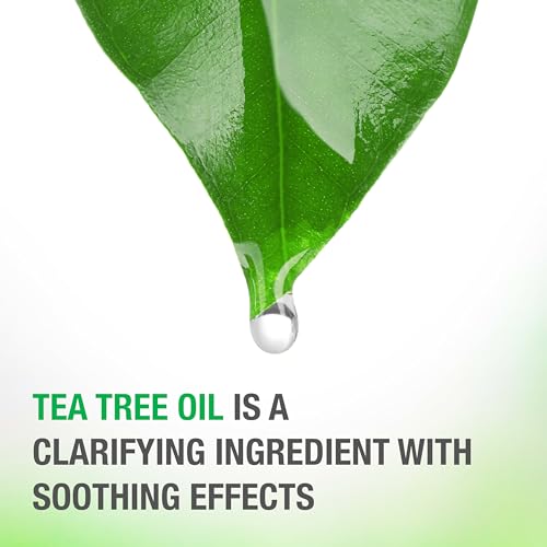 Neutrogena Tea Tree Oil Conditioner - Soothing & Calming for Healthy, Moisturized Hair & Scalp, pH-Balanced, Paraben-Free, Phthalate-Free, Safe for Color-Treated Hair, 12 fl oz