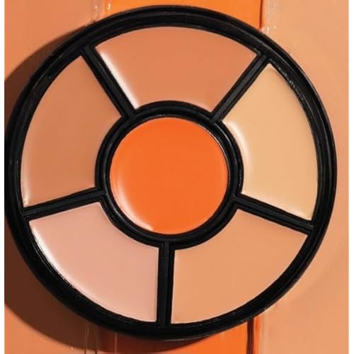 INSIGHT Cosmetics Pro Concealer Palette