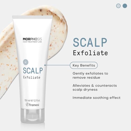 FRAMESI Morphosis Scalp Exfoliate, 5.1 fl oz, Scalp Exfoliator, Pre-shampoo Scalp Treatment