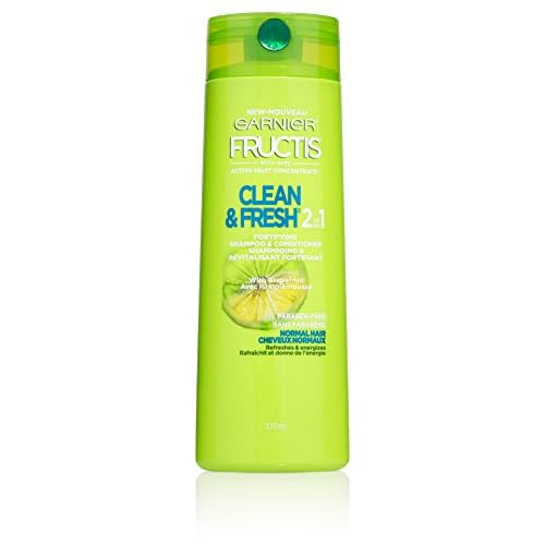 Garnier Hair Care Fructis Daily Care 2-in-1 Shampoo and Conditioner, 12.5Fl Oz