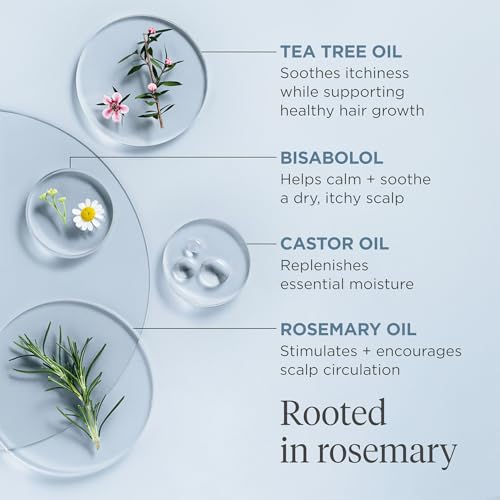 Briogeo Scalp Revival Rosemary Pre-Wash Oil | Moisturizing Scalp Treatment for Dry, Flaky, or Itchy Scalp | Strengthens Hair & Soothes Scalp | Vegan & Cruelty-Free