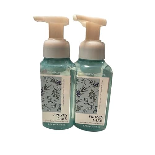 Bath and Body Works Gentle & Clean Foaming Hand Soap 8.75 Ounce 2-Pack (Frozen Lake)