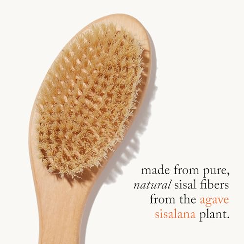 goop Beauty Dry Brush | Detoxifying Body Exfoliator | Wooden Handle with Natural Biodegradable Sisal Fibers | Sweeps Away Dead Skin | FSC Certified