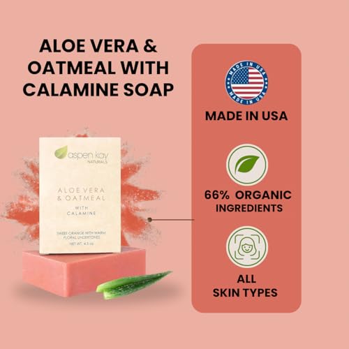 Aloe Vera & Oatmeal Soap Bar with Calamine, Natural & Organic Ingredients - Organic Aloe Vera & Colloidal Oats. Face & Body - for Men, Women & Teens. Gentle Body Wash. 4.5 oz Bar (Pack of 2)
