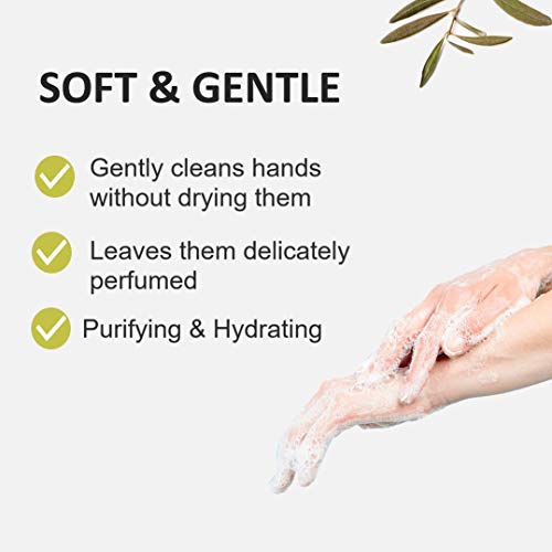 Cucina Purifying Hand Wash Coriander and Olive Tree 16.9 Fl Oz Glass Bottle by Cucina