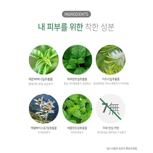 Mint Pore Korean Face Wash Cleansing Foam (Renewal), Korean Facial Cleanser Refresh Acne Prone Skin 130g/4.58oz Kwailnara (2 Pack)