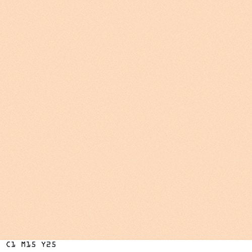 COVERGIRL Smoothers Pressed Powder Translucent Light.32 Ounce (packaging may vary)