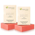 Aloe Vera & Oatmeal Soap Bar with Calamine, Natural & Organic Ingredients - Organic Aloe Vera & Colloidal Oats. Face & Body - for Men, Women & Teens. Gentle Body Wash. 4.5 oz Bar (Pack of 2)