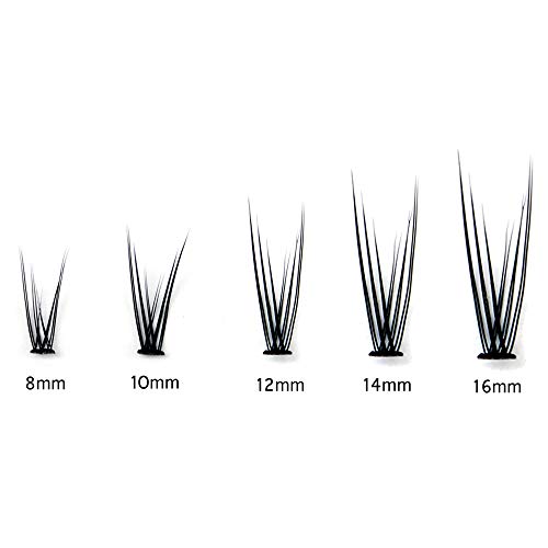 Bodermincer 120pcs D Curl 12D Fish Tail Lash Clusters Natural Soft Long PBT Mink False Eyelashes Individual Lashes Handmade Fake Eyelashes Extension (10mm)