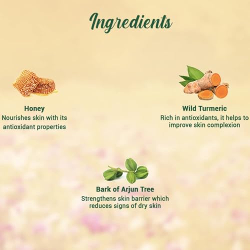Biotique Bio Honey Gel Refreshing Foaming Face Wash, 150ml/ 5.07 Oz. I All Skin Type I Enriched with Honey Powerful Cleanser, Brightens Complexion, Boosts Skin Tone
