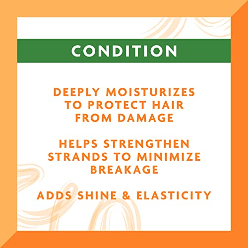 Cantu Leave-In Conditioning Repair Cream with Argan Oil, 16 oz (Packaging May Vary) & Moisturizing Curl Activator Cream with Shea Butter for Natural Hair, 12 fl oz