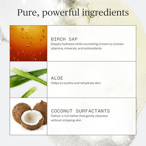 Ursa Major Botanic Buzz Hand Wash | Natural Liquid Hand Soap | Cleanses, Hydrates, Moisturizes & Soothes | Vegan, Cruelty-Free & Non-Toxic | 10oz (Pack of 2)