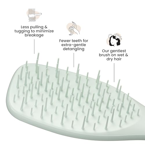 Tangle Teezer Extra Gentle Detangler Hair Brush, with Fewer Bristles for Gentle & Effective Detangling to Minimize Hair Loss & Breakage, Eucalyptus Green