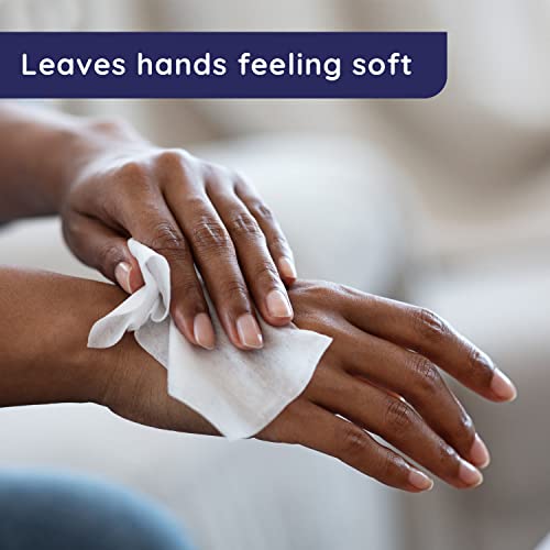 Wet Ones Hand and Face Wipes Singles, ?Unscented Wipes for Sensitive Skin | Individual Wipes, Hand Wipes Individually Wrapped?| 24 ct. (6 pack)