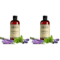 C.O. Bigelow Lavender Peppermint Shower Gel, Moisturizing Body Wash with Lavender & Peppermint Essential Oils, 10.14 Fl Oz (Pack of 2)