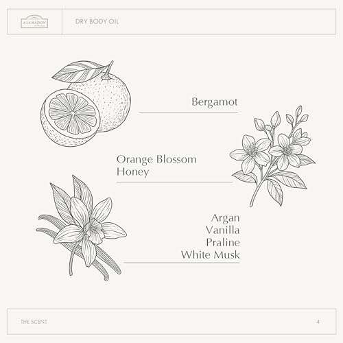 A LA MAISON Amber Collection White Tea & Rose Duo: Shower Oil - 3.3 oz Moisturizing & Fast-Absorbing Body Oil, 8.1 oz Hydrating Body Wash Alternative