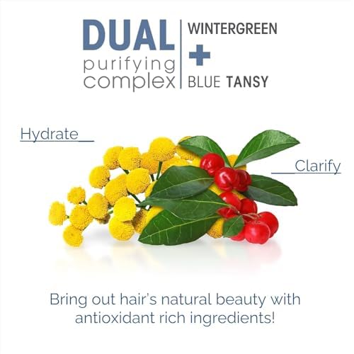 GIOVANNI 2chic Clarifying & Calming Conditioner - Clarifying Hair Conditioner, Helps Remove Residue, Hydrating, Detox Conditioner, Color Safe, Wintergreen & Blue Tansy - 24 oz