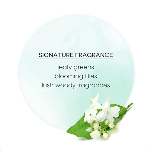 Bain de Terre Hairspray | Argan & Monoi Oils | 9 Fl Oz