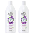 Biotera Moisturizing Shampoo | Hydrates & Moisturizes Dry, Medium, Fine Hair | Microbiome Friendly | Vegan & Animal Test Free | Paraben Free | Color-Safe