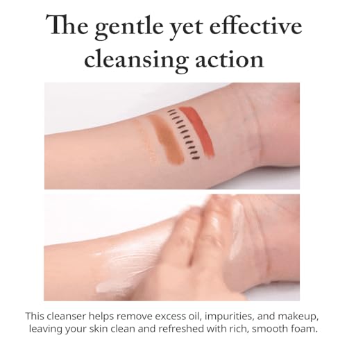 Salicylic Acid Cleansing Foam 5.07 fl oz - Gentle Exfoliating Face Wash with Tea Tree and Charcoal for Clear, Refreshed Skin, Korean Skincare