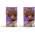 SoftSheen-Carson Dark and Lovely Fade Resist Rich Conditioning Color, Chestnut Blonde 380 (Pack of 2)