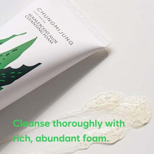 Alkalescent Aloe Cleansing Foam, Deep Cleansing Foam, Blackhead Remover,Mildly Alkaline, Potassium Cocoate, All Skin Types, Korean Skin Care 6.7 fl.oz / 200ml