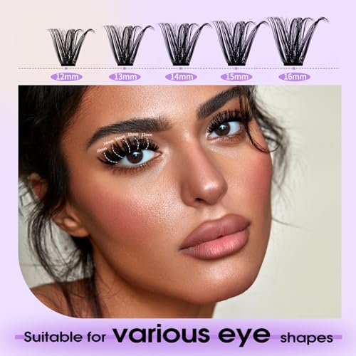 Lash Clusters Kit for Using at Home: Lightweight, DIY, Natural, Fluffy, Wispy, Waterproof, Anime, Manga, Cat Eye, C Curl, 12-16mm, 100P+200P, Wendy, RT318
