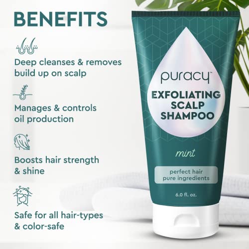 Puracy Scalp Scrub, 99.96% Natural Scalp Exfoliator, Hair Scrub, Scalp Exfoliator Scrub, Scalp Treatment, Scalp Cleanser, Dry Scalp Treatment, Scalp Care, Scalp Shampoo, Itchy Scalp Shampoo - Mint