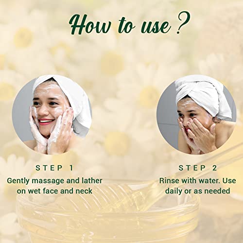 Biotique Bio Honey Gel Hydrating Face Wash For All Skin Types, 100 Ml 3.38 fl. Oz. I Enriched with Honey Powerful Cleanser, Boosts Skin Tone