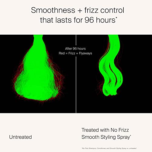 Living Proof No Frizz Smooth Styling Spray