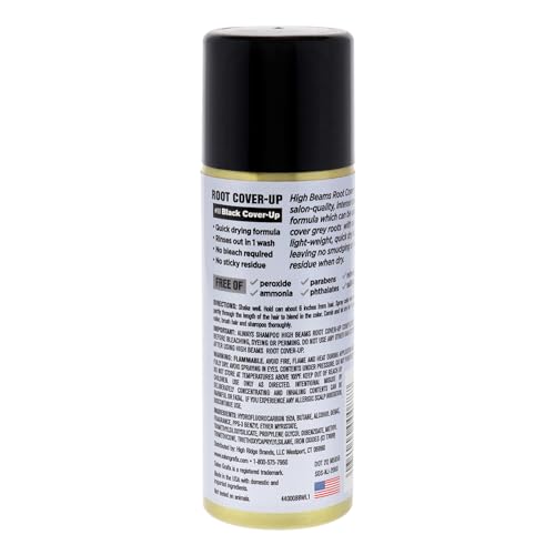 Salon Grafix High Beams Root Cover-Up Temporary Spray - Salon-Quality Spray Hair Dye - Washable Black Hair Dye - Temporary Hair Color - Black - 2.7 oz