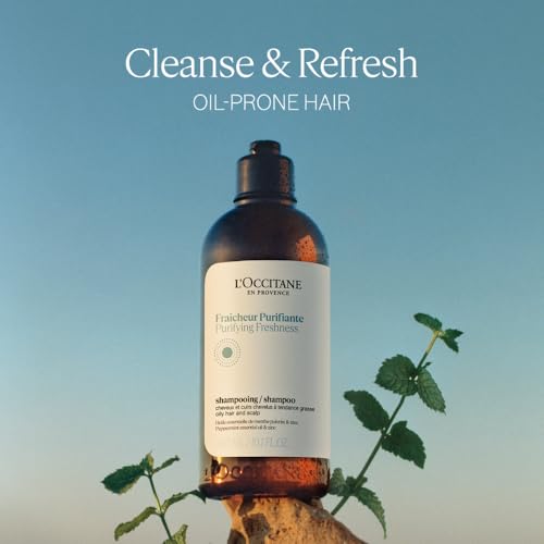 L'OCCITANE Purifying Freshness Shampoo.: Helps Reduce Excess Sebum, For Normal to Oily Hair, Without Silicone, Refill Available