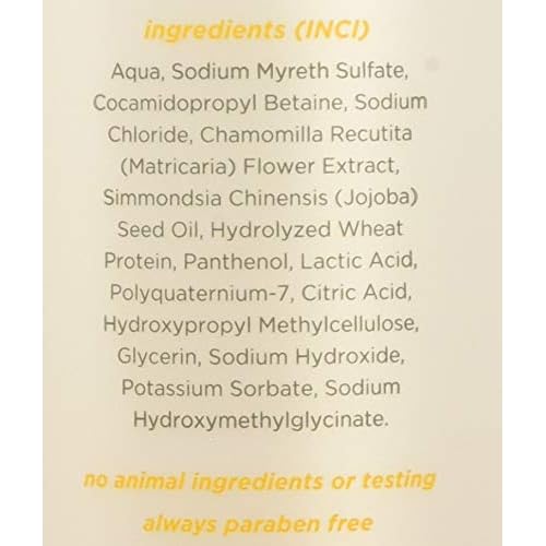 Earth Science Fragrance Free Shampoo with mild coconut-based cleansers for sensitive scalp & hair ? 12 oz. (Pack of 2)