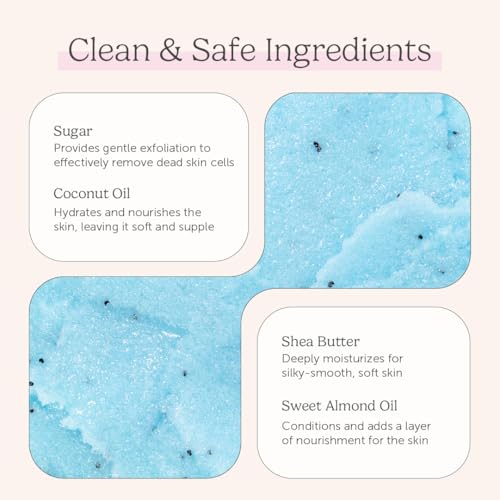 Nectar Life Exfoliating Sugar Scrub, Moisturizing Body Scrub with Coconut Oil & Shea Butter, Pre Shave Exfoliator (16 Ounce, Ocean Breeze)