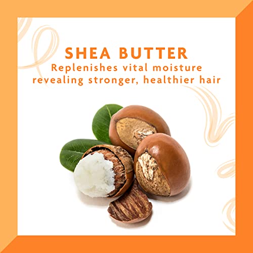 Cantu Hair Dressing Pomade with Shea Butter, 4 Ounce (Pack of 3)