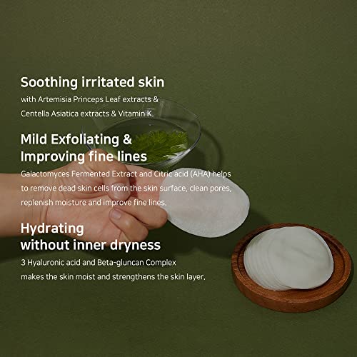 Artemisia Soothing Facial Toner ? Korean Skincare, NO Alcohol, Plant-Based, Cruelty Free, Soothing Toner for Sensitive Skin,300ml, 10.14 fl.oz