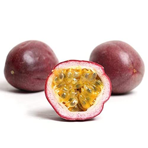 Dr Joe Lab Maracuja - Passion Fruit Seed Oil - Pure Partially Filtered Carrier Oil for Face Skin Lips Body Hair Natural Extra Virgin Moisturizer DIY Soaps Cream - Cocojojo (8 oz)